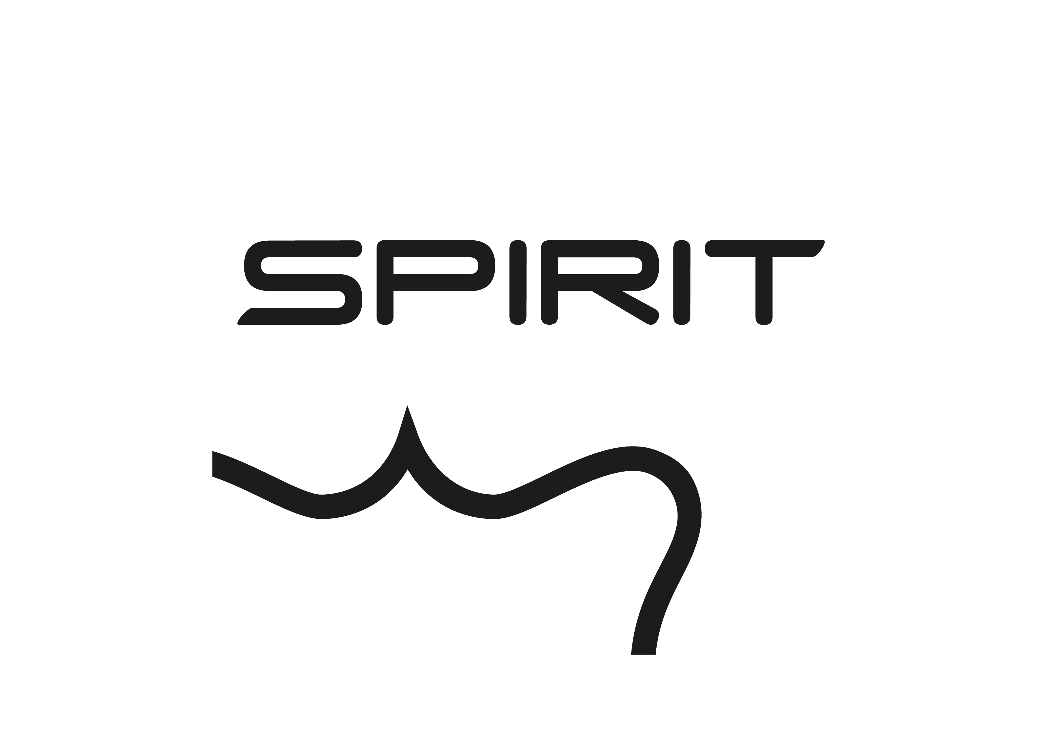 Spirit Hilding Anders