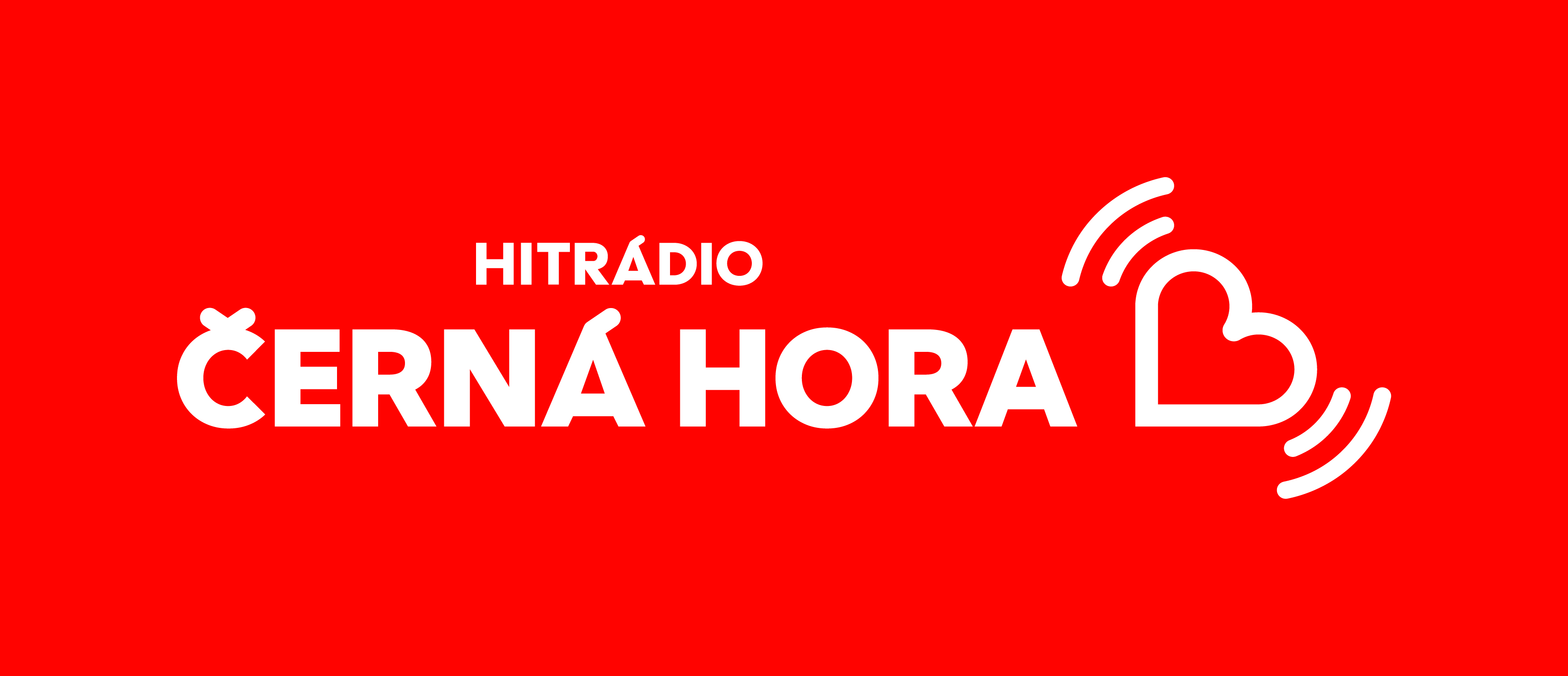 Logo partnera